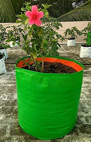 Classic Mosquito Net plant bags - growing vegetables