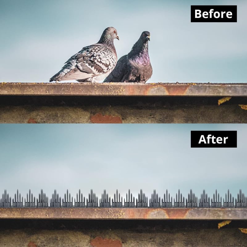 Evafly bird spikes - window railing application