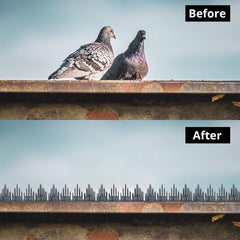 Evafly bird spikes - window railing application