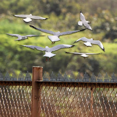 Evafly bird spikes - balcony installation