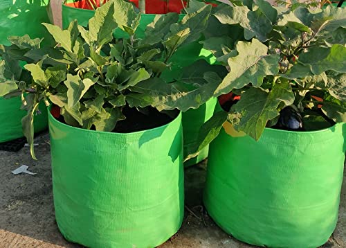 Classic Mosquito Net plant bags - perfect for home gardening