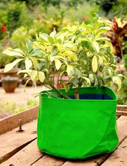 Classic Mosquito Net GroWonder Grow Bags - Ideal for terrace gardening