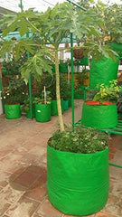 Classic Mosquito Net plant grow bag - perfect for terrace gardening