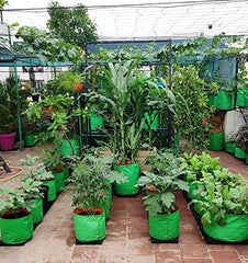 Classic Mosquito Net planting grow bags - terrace gardening use