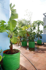 Classic Mosquito Net GroWonder bag - Gardening on balcony