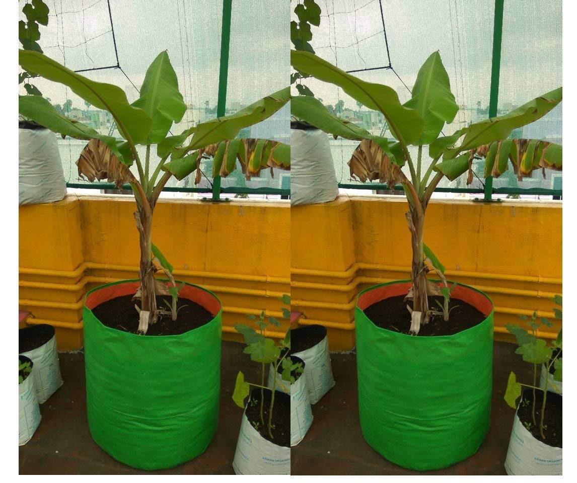 GroWonder plant bags - ideal for terrace gardening
