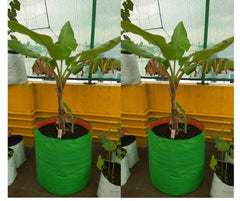GroWonder plant bags - ideal for terrace gardening