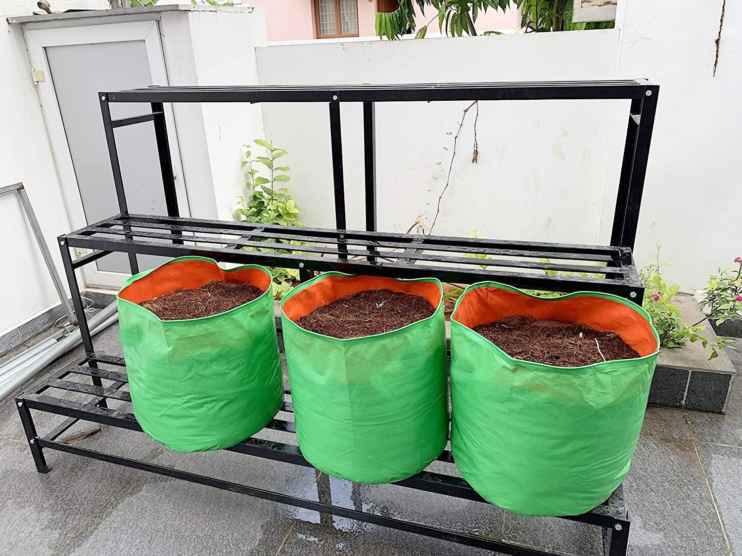 Classic Mosquito Net GroWonder bag - Indoor plant growing