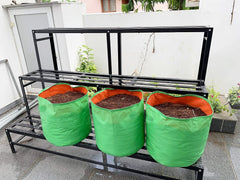 Classic Mosquito Net GroWonder bag - Indoor plant growing