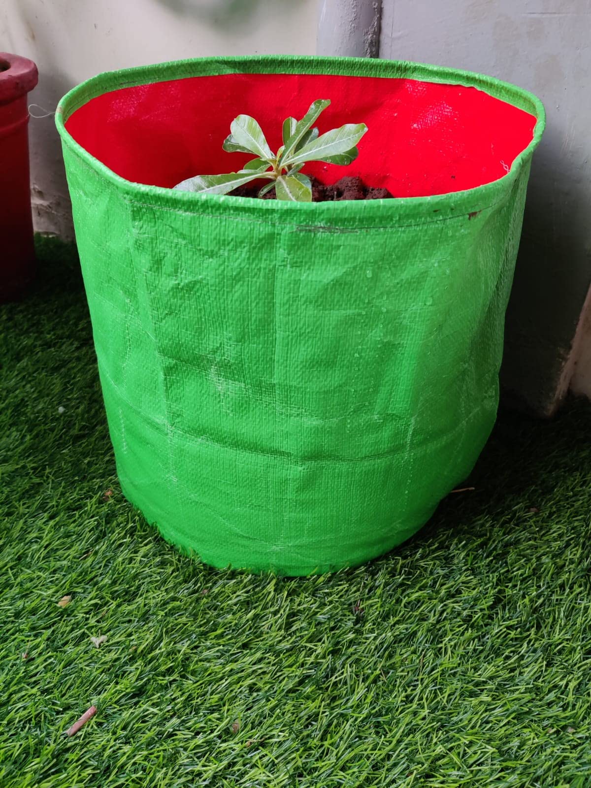 Classic Mosquito Net grow bags - indoor herb gardening