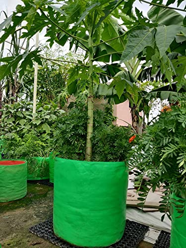 GroWonder Plant Grow Bags 15x15 inch, 230 GSM Strong, Terrace Gardening Vegetable Planting Pots, Plant Bags for Home Garden, Pack of 7